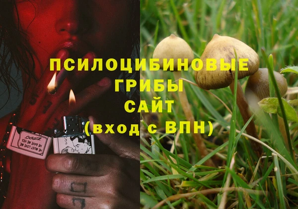 мескалин Сафоново