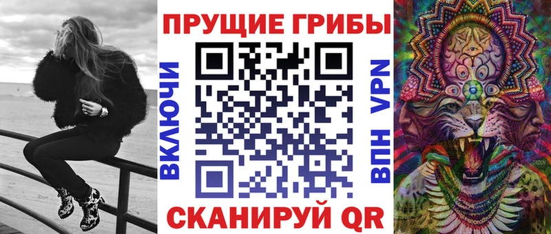 дарнет шоп Динская Псилоцибиновые грибы GOLDEN TEACHER